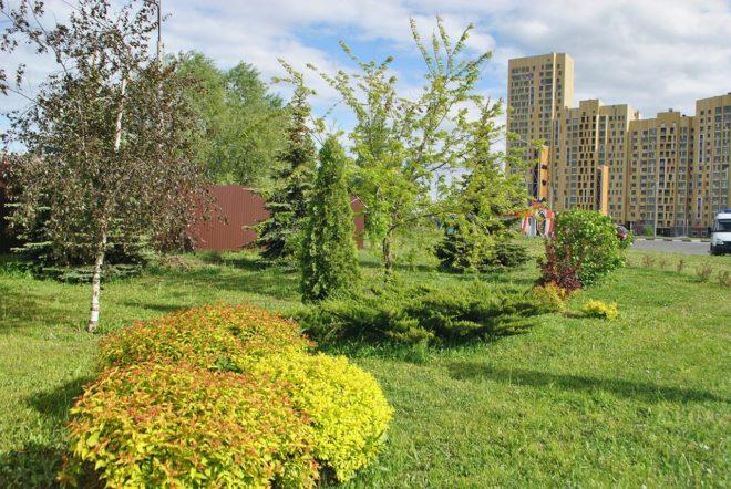 экологическая обстановка в селе