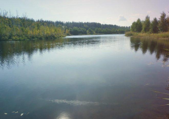 Климат, погода и экологическая обстановка