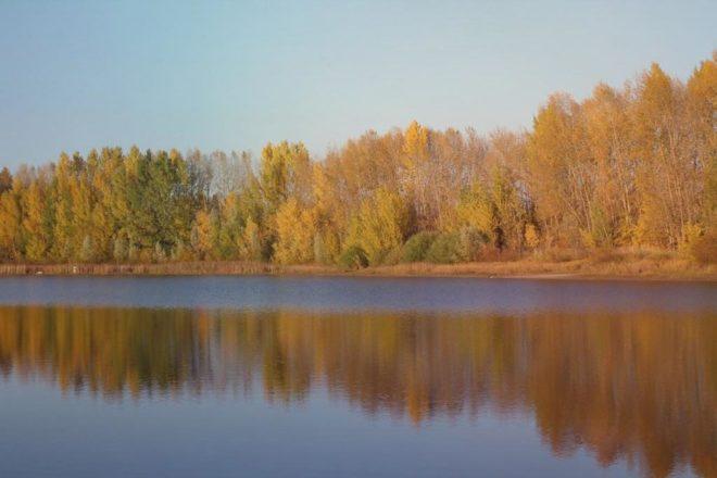 Экология, климатические и погодные условия