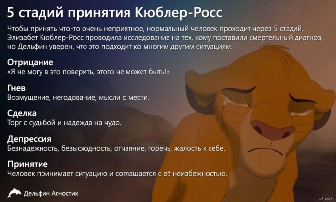 Стадии в психологии: принятие, отрицание, смирение
