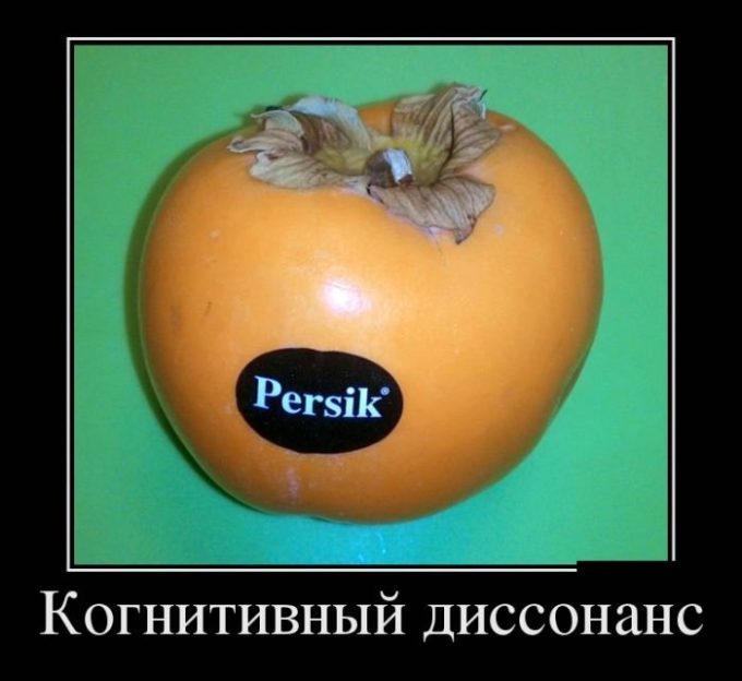 Еще примеры когнитивного диссонанса в жизни человека
