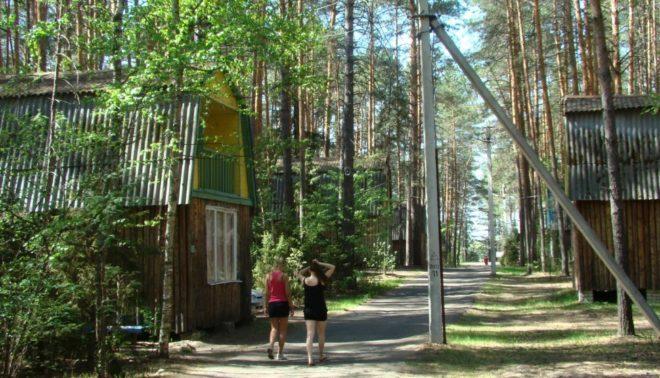 Прогулки в лесу