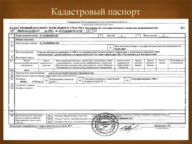 Кадастровый паспорт