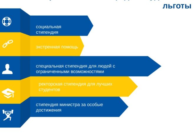 ВУЗы и техникумы